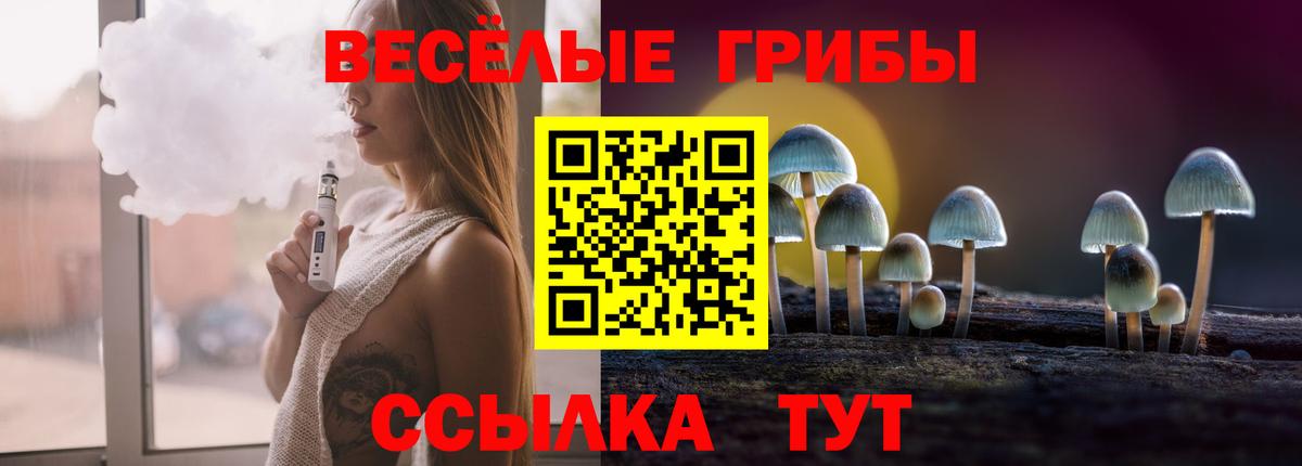Сарапул  Псилоцибиновые грибы прущие грибы  Вход с VPN 