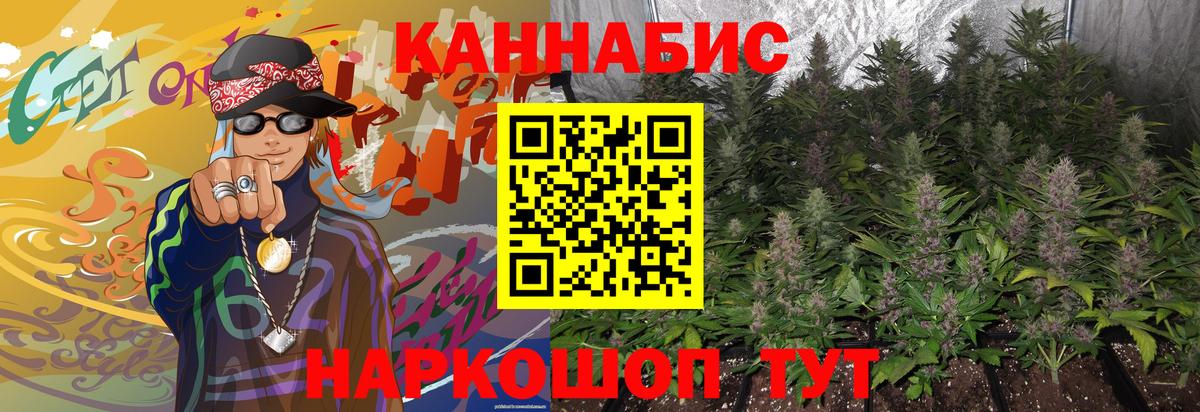 Каннабис OG Kush Сарапул